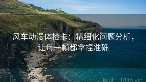 风车动漫体检卡：精细化问题分析，让每一帧都拿捏准确