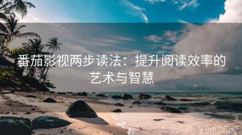 番茄影视两步读法：提升阅读效率的艺术与智慧