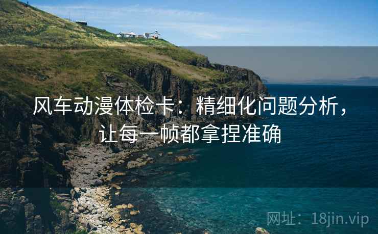 风车动漫体检卡：精细化问题分析，让每一帧都拿捏准确