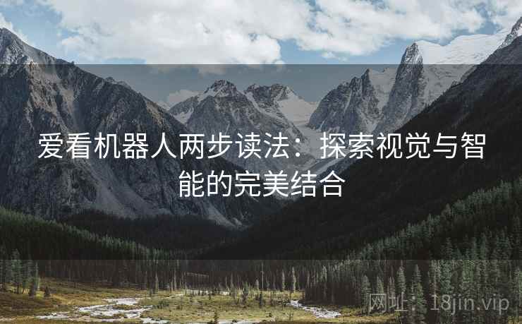 爱看机器人两步读法:探索视觉与智能的完美结合 爱看机器人两步读法:探索视觉与智能的完美结合
